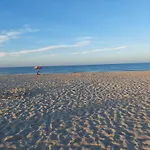 Meet Cervia
