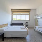 Meet Cervia