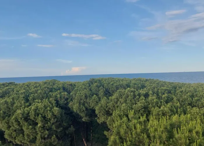 旅馆 Meet 切尔维亚