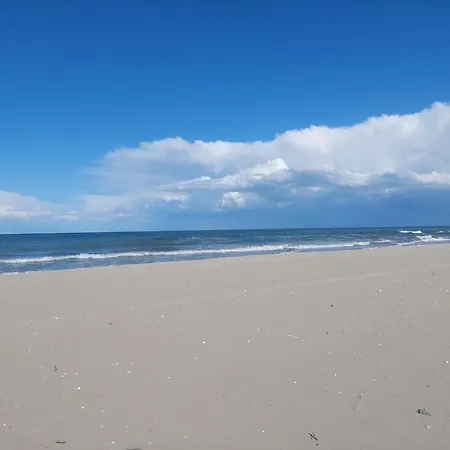 Meet Cervia
