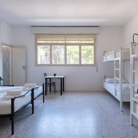 Meet * Cervia